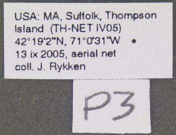 Media type: image;   Entomology 602765 Aspect: labels